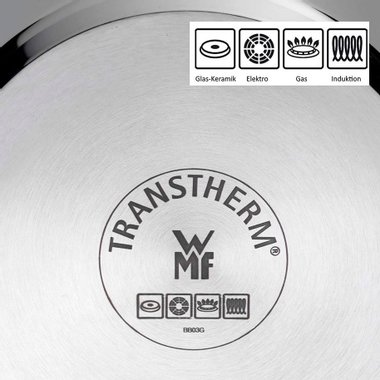 ТИГАН 20 СМ WMF PROFI 794609991