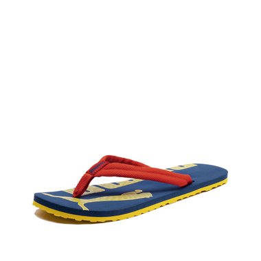 Puma Epic Flip v2
