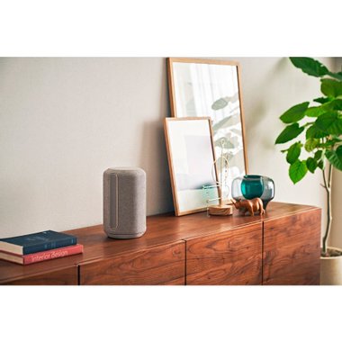Аудио система SONY SRS-RA3000H