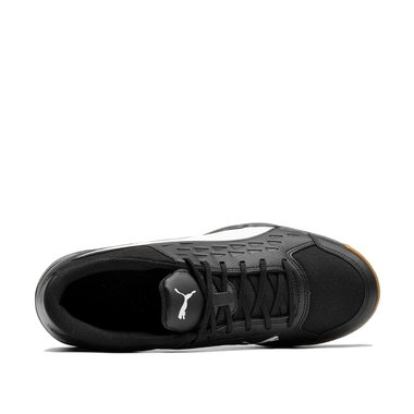 Puma Auriz