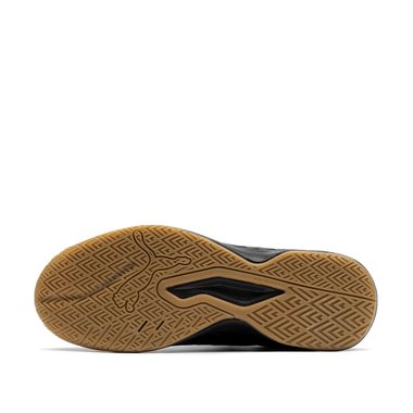 Puma Auriz