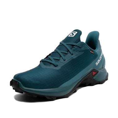 Salomon Alphacross 3 Gore-Tex