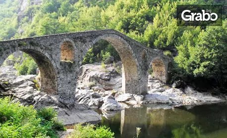 Балнео почивка в село Баните! 2, 3 или 5 нощувки със закуски и вечери, плюс лечебни вани с минерална вода и джакузи, от Семеен екохотел Бялата къща***