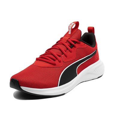 Puma Incinerate