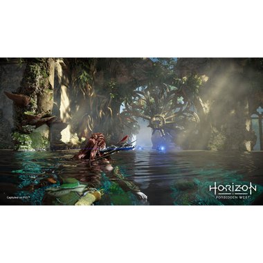 Игра Horizon Forbidden West Col Edition (PS4/PS5)