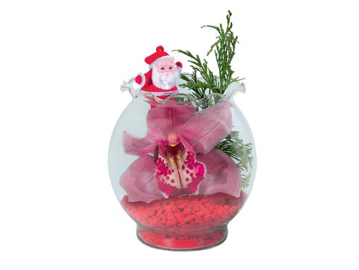 Цвят от орхидея в стъклена ваза