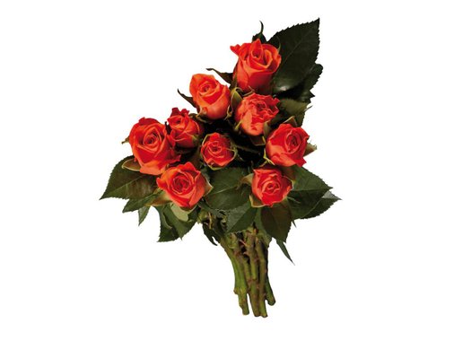 Рози | Лидл | Oferta.bg
