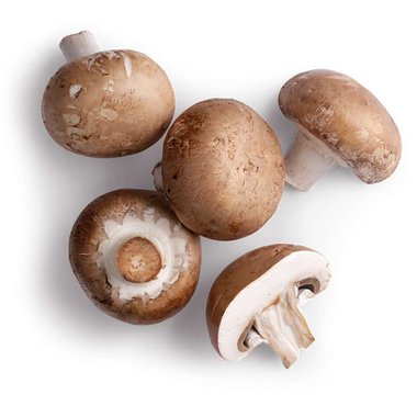 Гъби кафява печурка