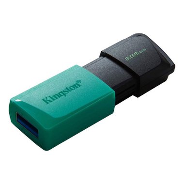 USB памет KINGSTON 256 GB DTXM/3.2 DataTraveler Exodia M