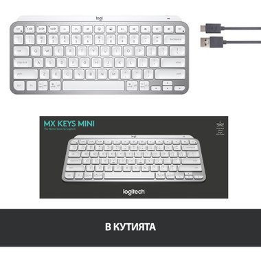 Клавиатура LOGITECH MX Keys Mini PaleGr.920-010499 US International