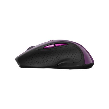 Мишка CANYON CNS-CMSW01P