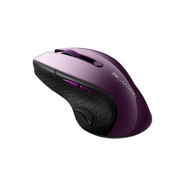 Мишка CANYON CNS-CMSW01P