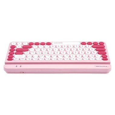Клавиатура A4 FSTYLER FBK30 RASPBERRY QuietKey Multi-Device