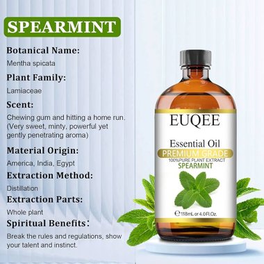 Етерично масло от Мента EUQEE Spearmint ароматерапия за Дифузери козметика сапуни