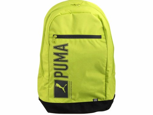 Раница