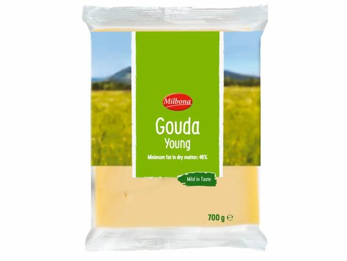 Гауда
