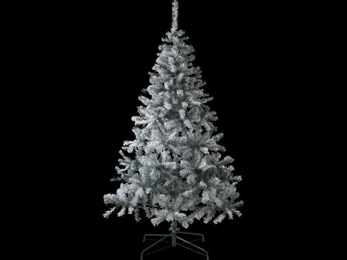 Коледна елха