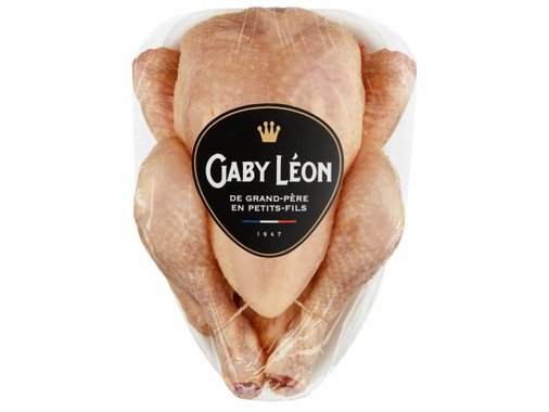 Младо френско петле