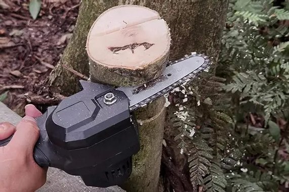 Мини верижен трион F Easy D 550W 24V Батерия и зарядно Мини акумолаторна резачка за клони