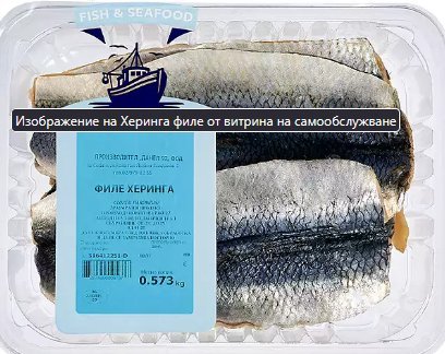 Сурово филе от херинга