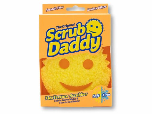 Домакинска гъба