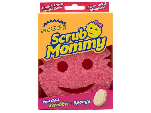 Домакинска гъба