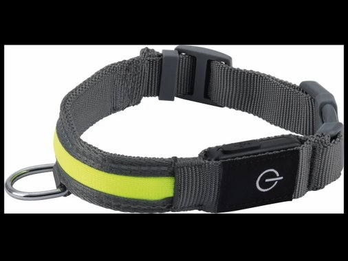 LED каишка за куче