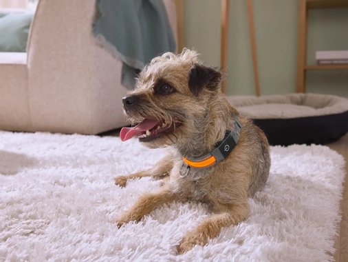 LED каишка за куче