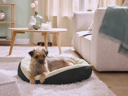 Легло за кучета