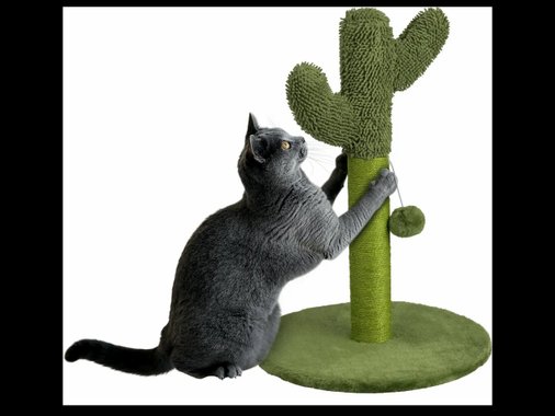 Катерушка за котки