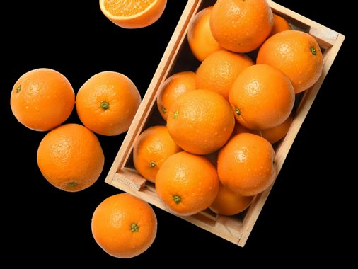 Портокали за сок XXL