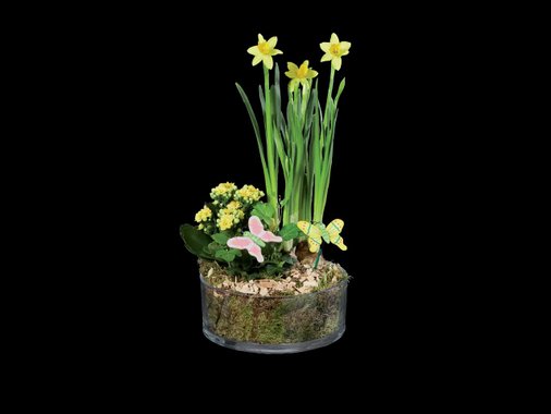 Декоративна мини градина