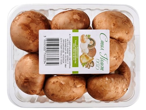 Гъби печурки кафяви