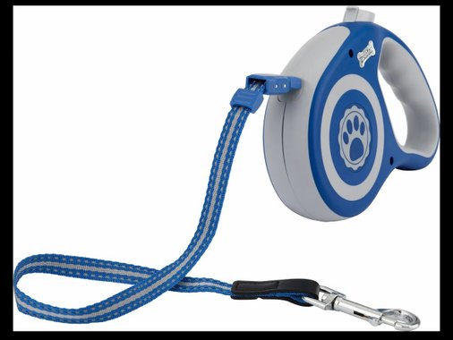 Автоматичен повод