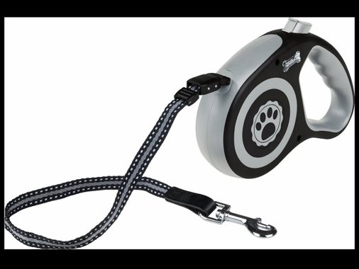 Автоматичен повод