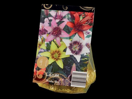 Луковици за лилиум