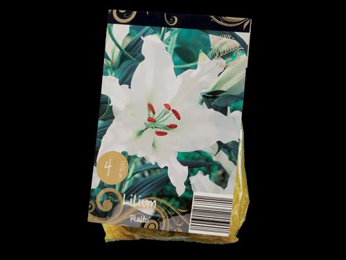 Луковици за лилиум