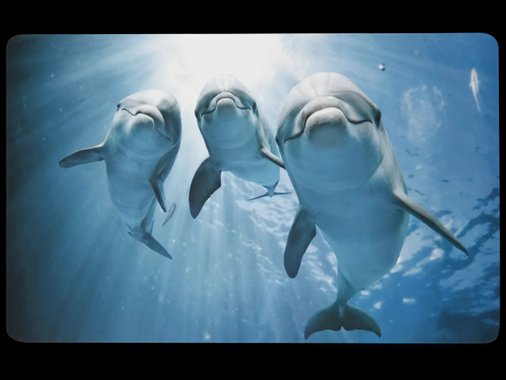 Постелка за баня