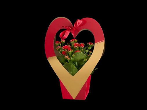 Цъфтящо растение „Сърце“