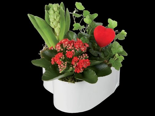 Декоративна мини градина