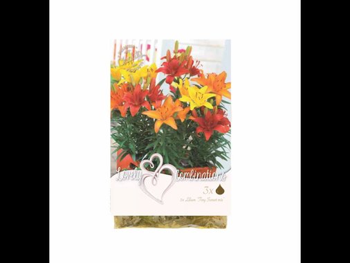 Луковици за цветя