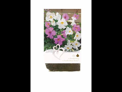 Луковици за цветя