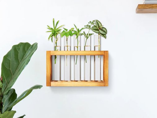 Комплект за отглeждане на резници