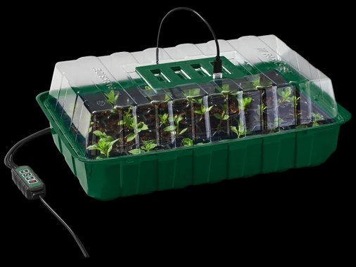 Мини оранжерия