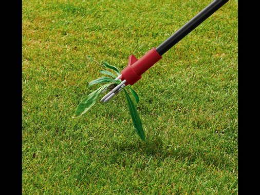 Четки за плевели или уред за плевене