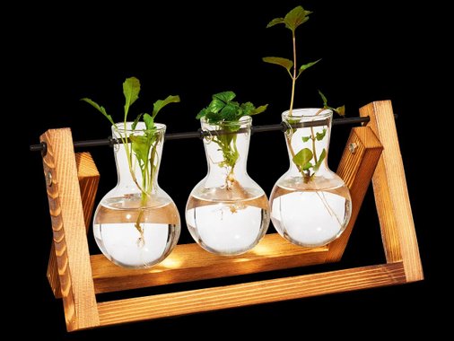 Комплект за отглeждане на резници