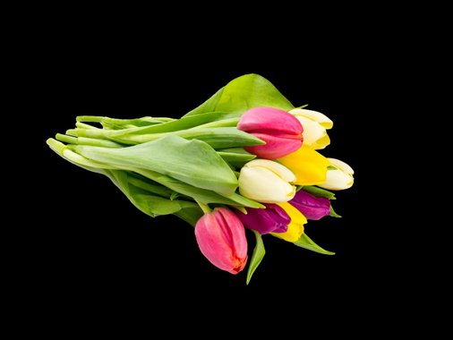 Лалета микс