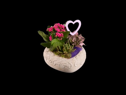 Цветен микс „Празник“