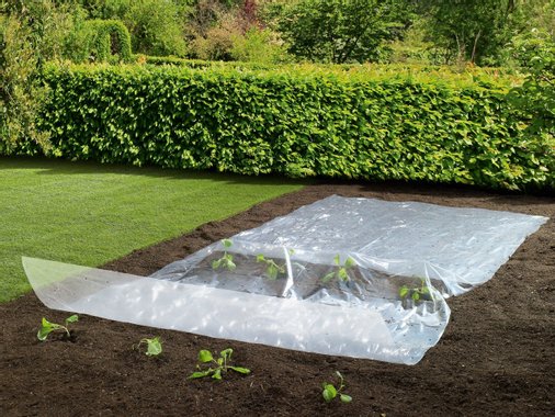 Фолио за растения