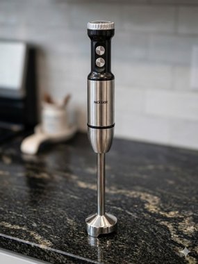 Пасатор Nexser NS8002 1000 W Професионален пасатор